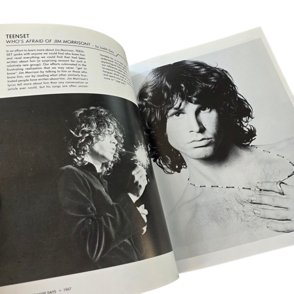 The Doors: The Illustrated History by Danny Sugerman | Rare Rock Music Collect - Picture 4 of 9